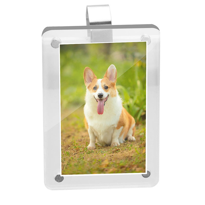 Fotoclip für die Sonnenblende im Auto | Für Fotos 8,9x5,8 cm | Universell | SnapView
