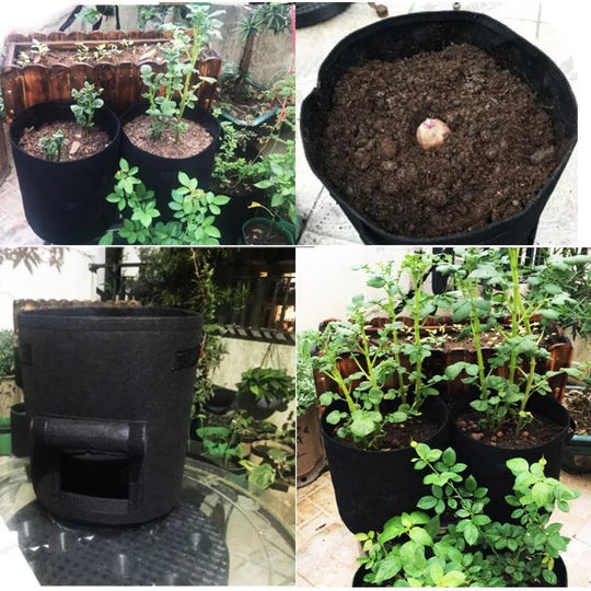 Pflanzbeutel Vliesstoff | Ernteklappe | Atmungsaktiv für Balkon & Terrasse | Rootrise