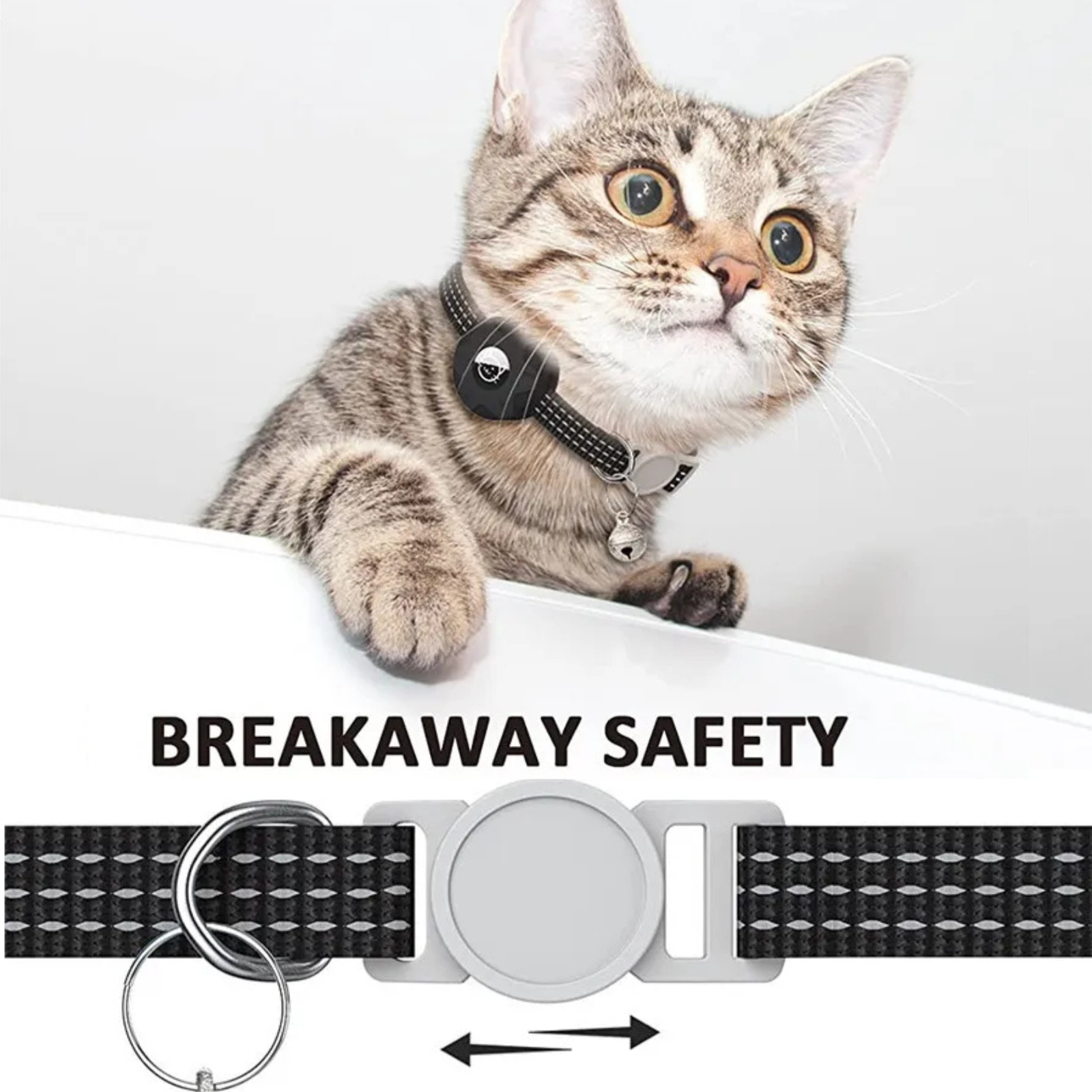 Smart-Tracker e collare per gatti | Senza GPS e SIM | Localizzazione tramite rete Android | FindPaw