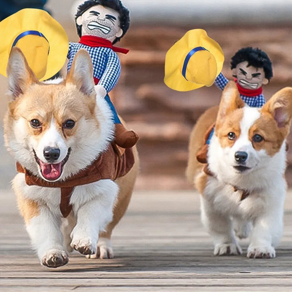 50% RABATT | ChuckyDog™ | Das Halloween-Kostüm für Ihren Hund!