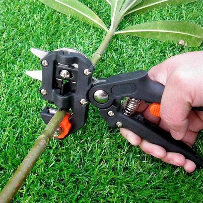 Elektrische Gartenschere | Pfropfschere | Veredelungsrille | Graftex