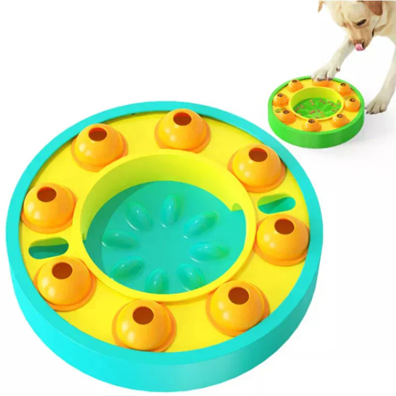 PetPlate™ – Unkomplizierter Futterteller für Haustiere