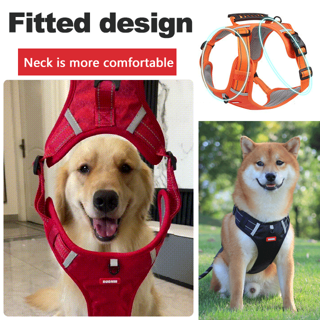 Reflektierende Hundeweste ohne Zug | 360° Reflektiv & Verstellbar | Größen XS-XL | Stridewell